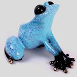 Frogman - Tim Cotterill Frogman - Tim Cotterill Capri (SN)